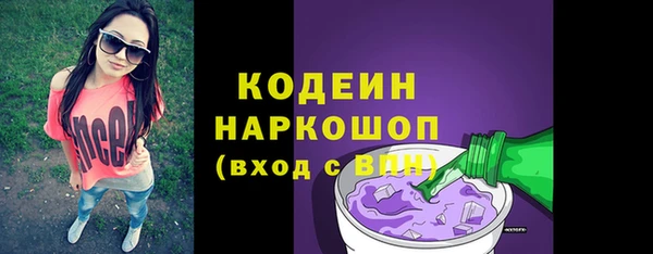 шишки Верея